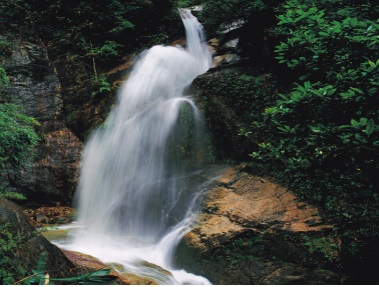 万博max体育官网入口天泉水质特点先容